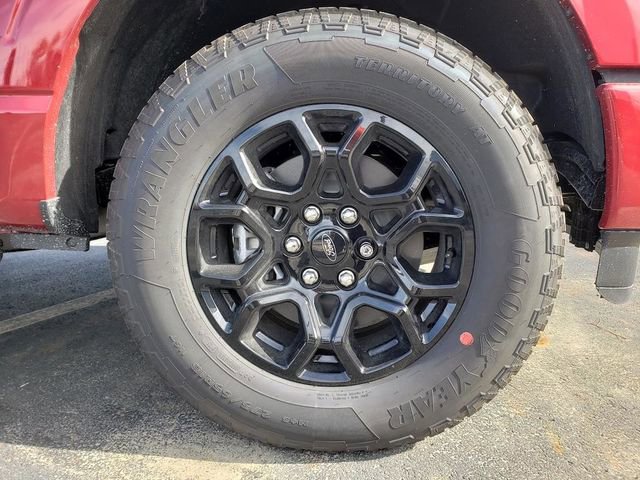 New 2025 Ford F150 XLT w/ Equipment Group 302A MID image 25