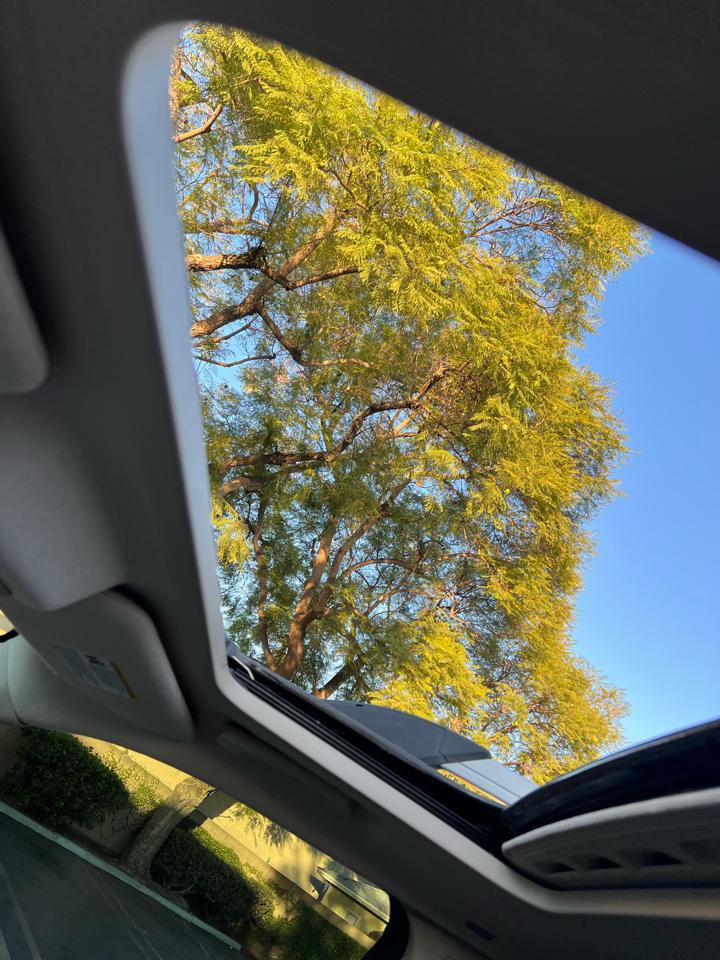 Used 2006 Ford Freestyle Limited image 15