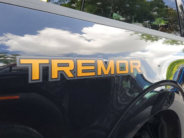 Used 2025 Ford F150 Tremor AWD/4WD image 8
