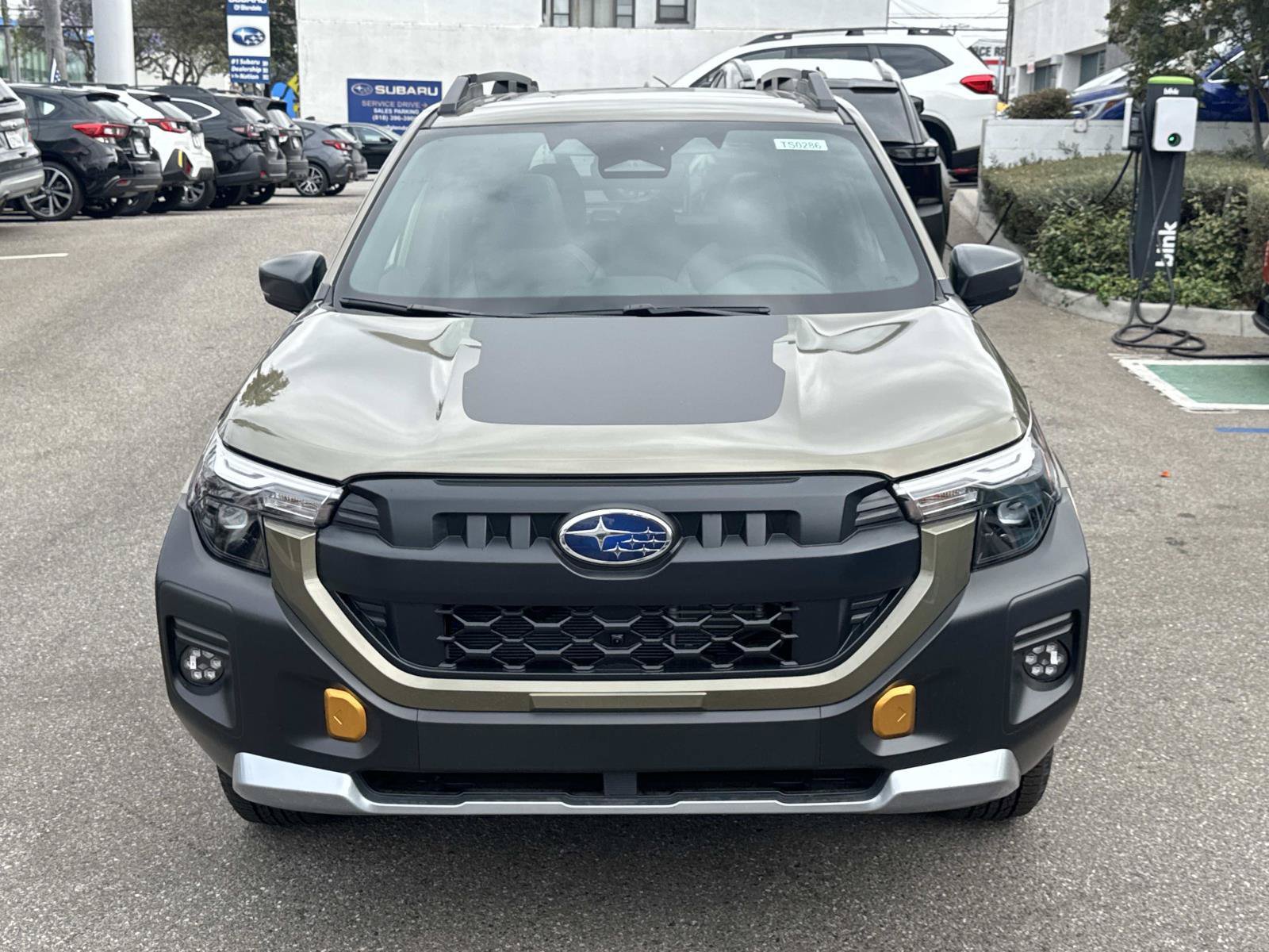 New 2026 Subaru Forester Wilderness w/ Wilderness Package AWD/4WD image 2