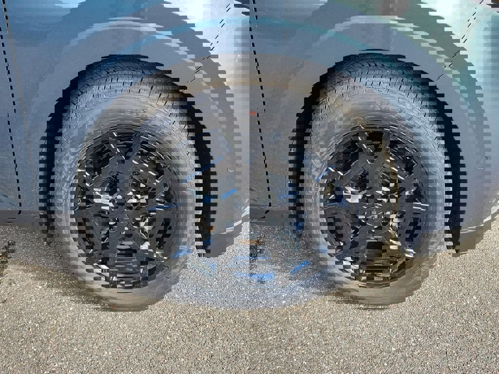 New 2026 Kia Carnival SX Prestige image 41