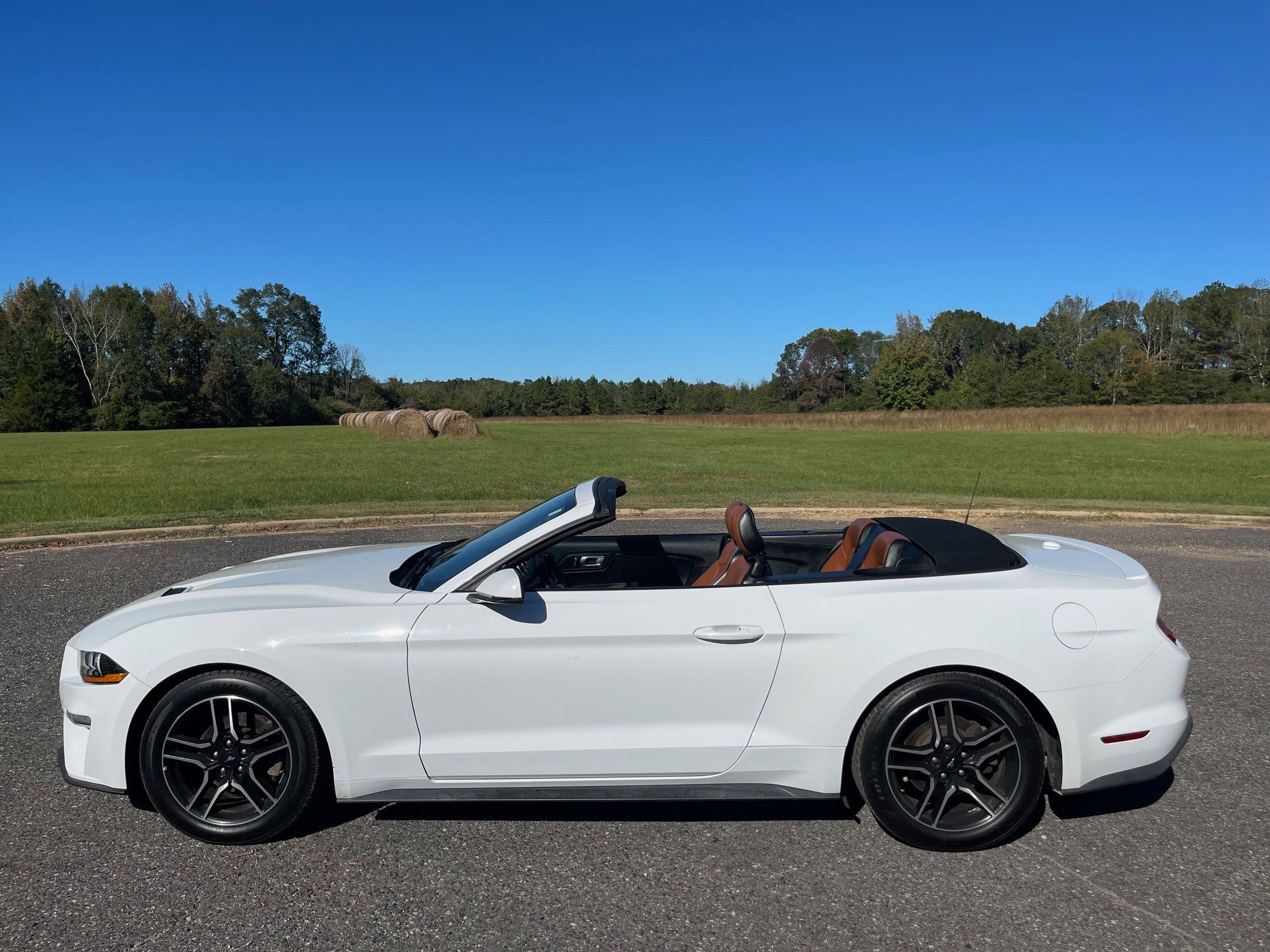 Used 2018 Ford Mustang Premium RWD image 11