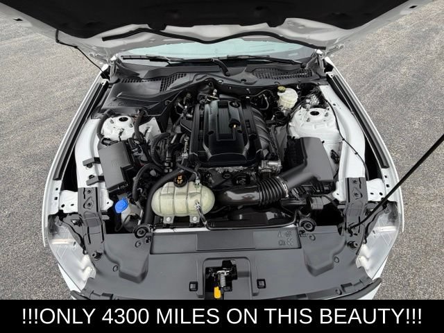 Used 2020 Ford Mustang Premium w/ Pony Package RWD image 7