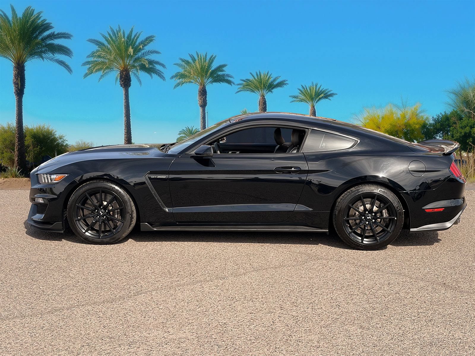 Used 2016 Ford Mustang Shelby GT350 w/ Technology Package RWD image 2