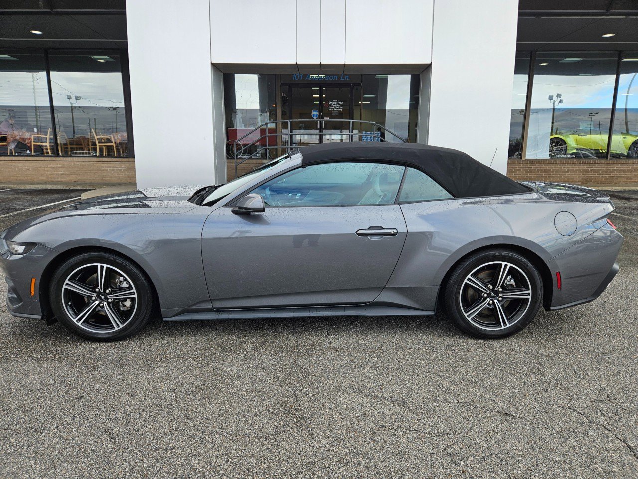 Used 2024 Ford Mustang Premium image 3