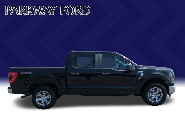 Used 2023 Ford F150 XLT image 4