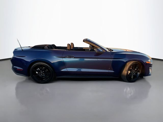 Used 2019 Ford Mustang Convertible w/ Equipment Group 101A RWD image 9