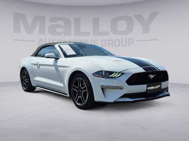 Used 2022 Ford Mustang Premium w/ Equipment Group 201A image 7