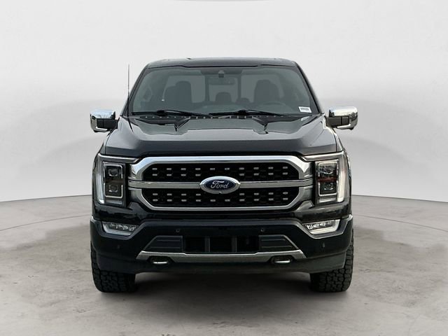 Used 2023 Ford F150 Platinum AWD/4WD image 8