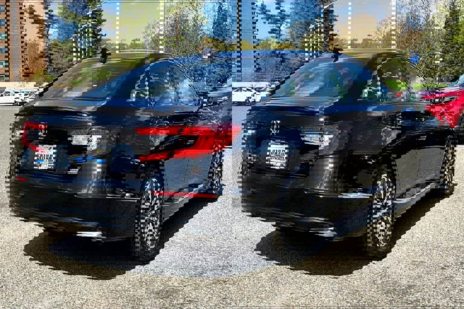 Used 2019 Honda Accord EX image 2