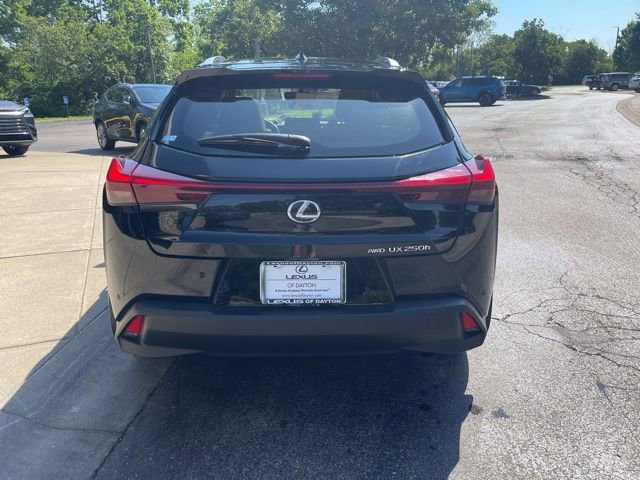 Used 2023 Lexus UX 250h AWD w/ Premium Package image 4