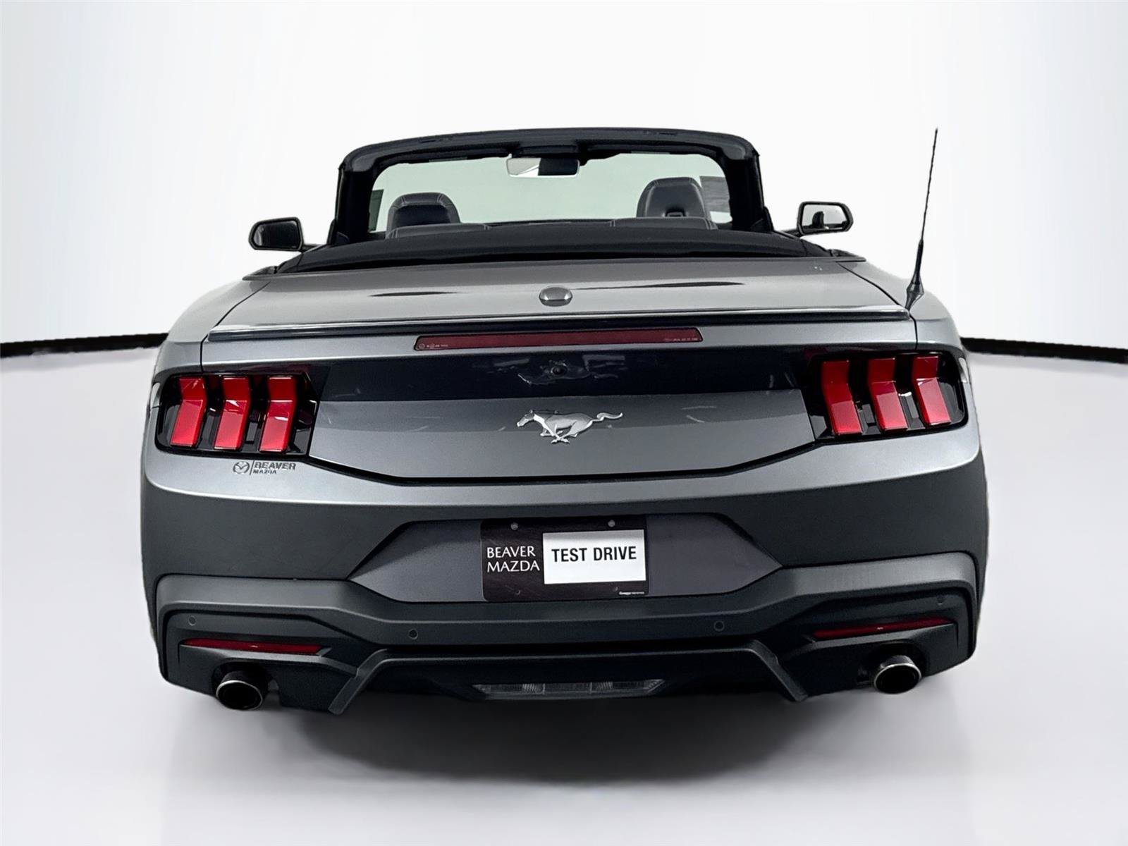 Used 2025 Ford Mustang Premium RWD image 15