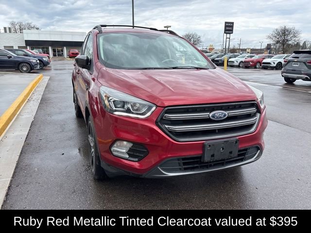 Used 2019 Ford Escape SEL image 4