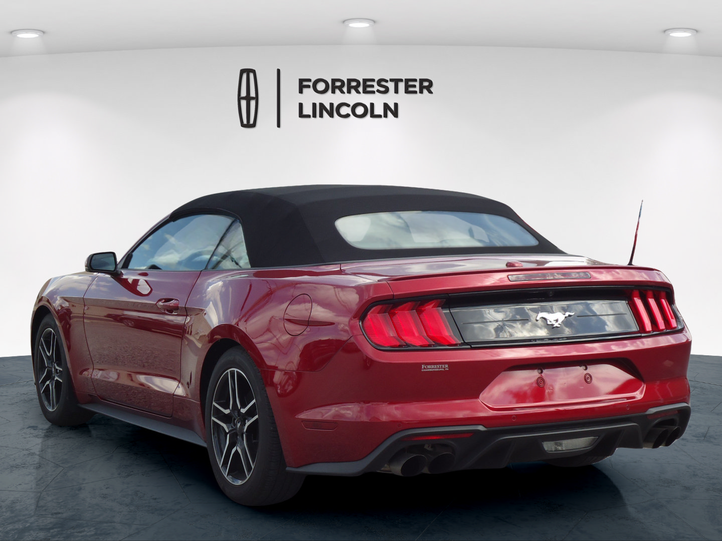 Used 2019 Ford Mustang Premium w/ Equipment Group 201A RWD image 10