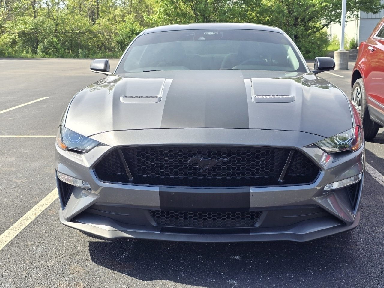 Used 2023 Ford Mustang GT w/ Mustang Nite Pony Package RWD image 2