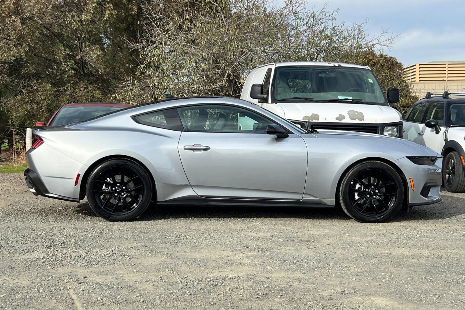 Used 2025 Ford Mustang EcoBoost image 3