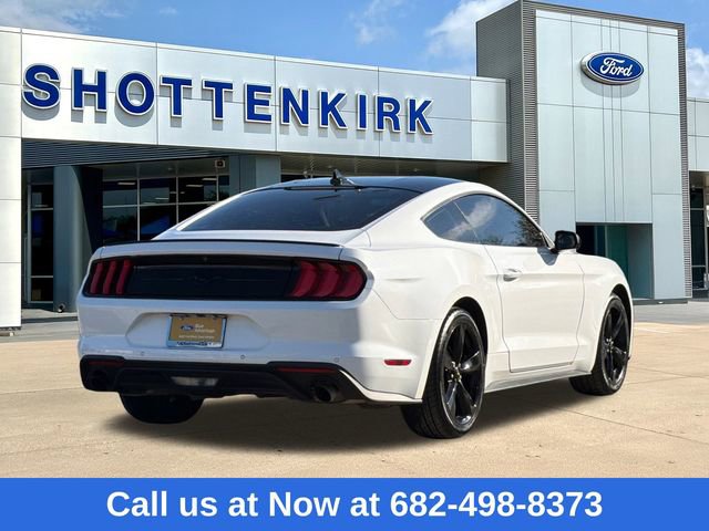 Certified 2022 Ford Mustang EcoBoost w/ Equipment Group 101A image 8