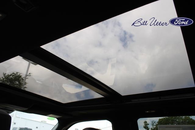 New 2026 Ford F150 Platinum image 14