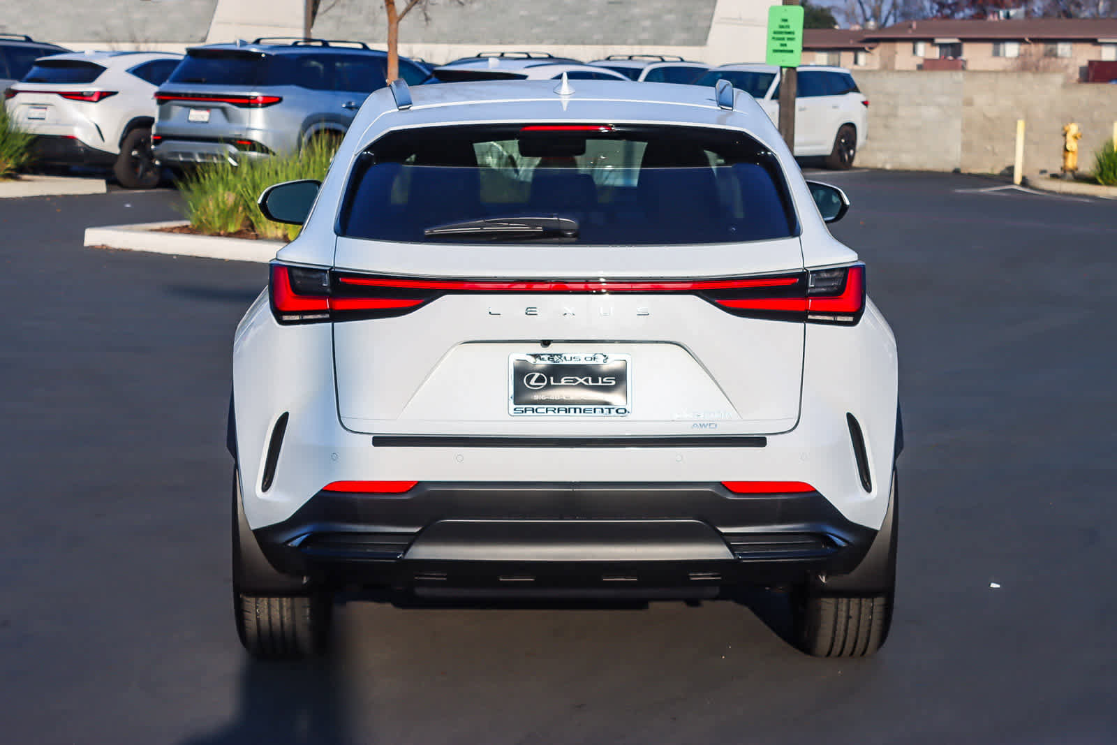 New 2026 Lexus NX 350h AWD w/ Premium Package image 3