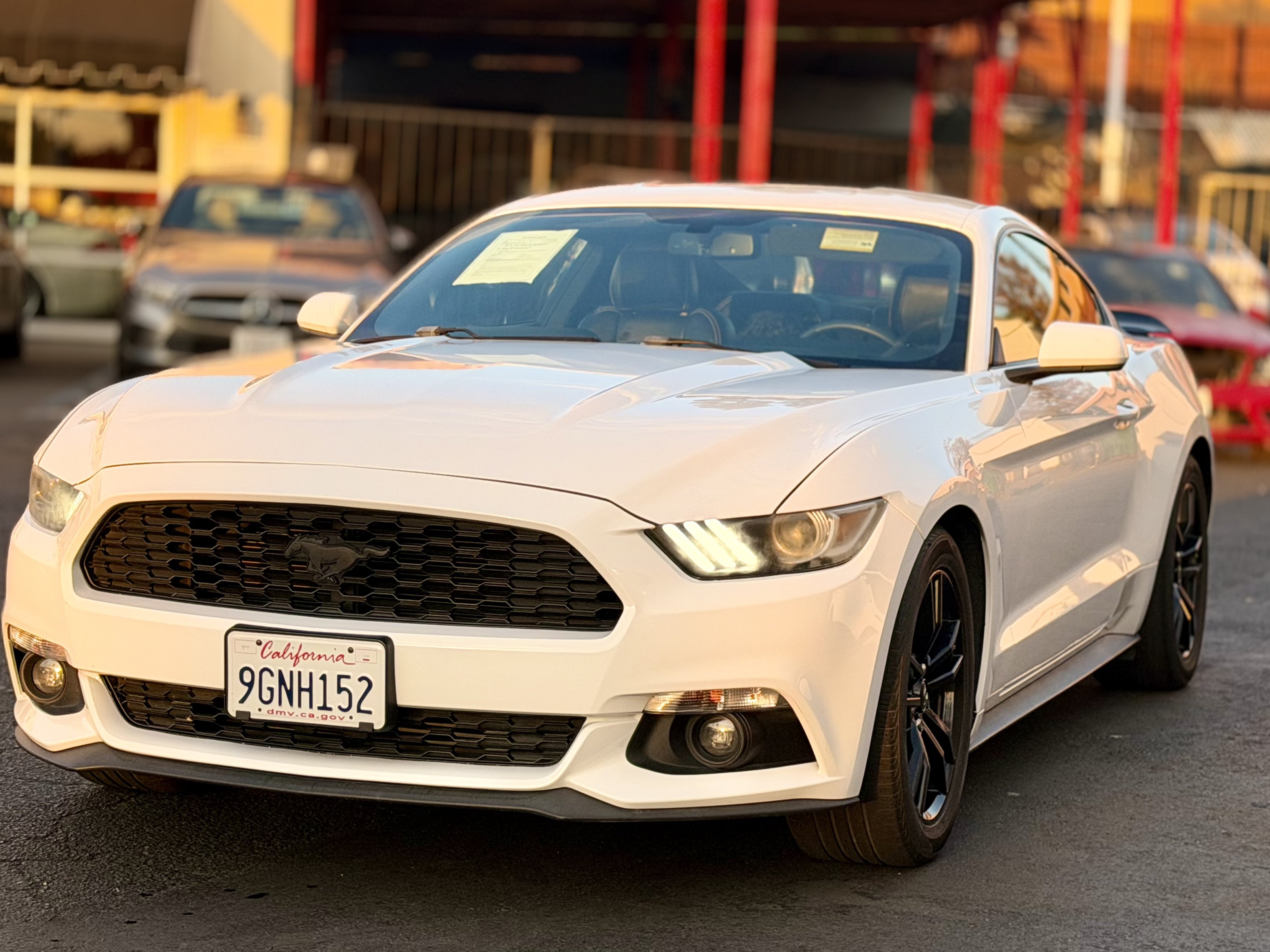 Used 2017 Ford Mustang Coupe RWD image 7
