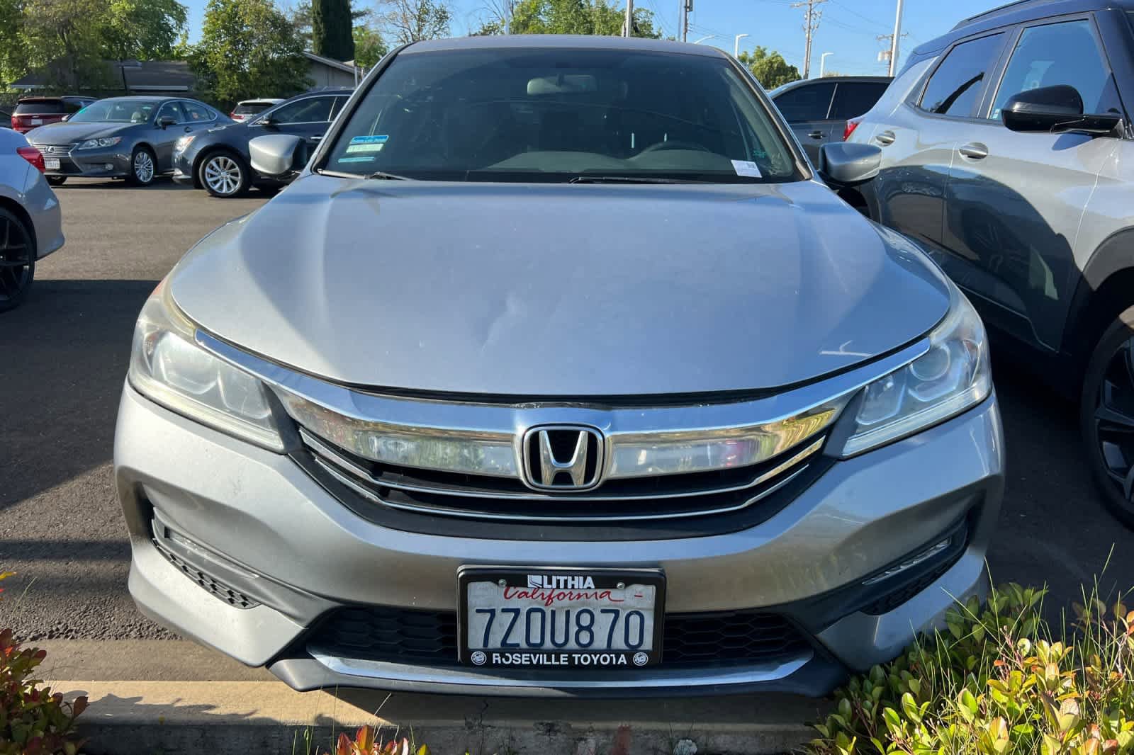 Used 2017 Honda Accord Sport image 2