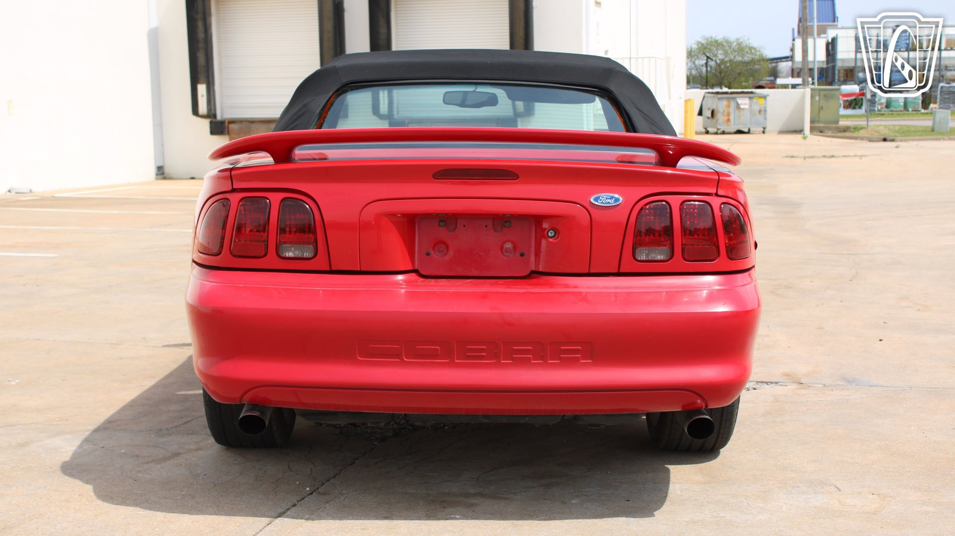 Used 1997 Ford Mustang Cobra RWD image 6