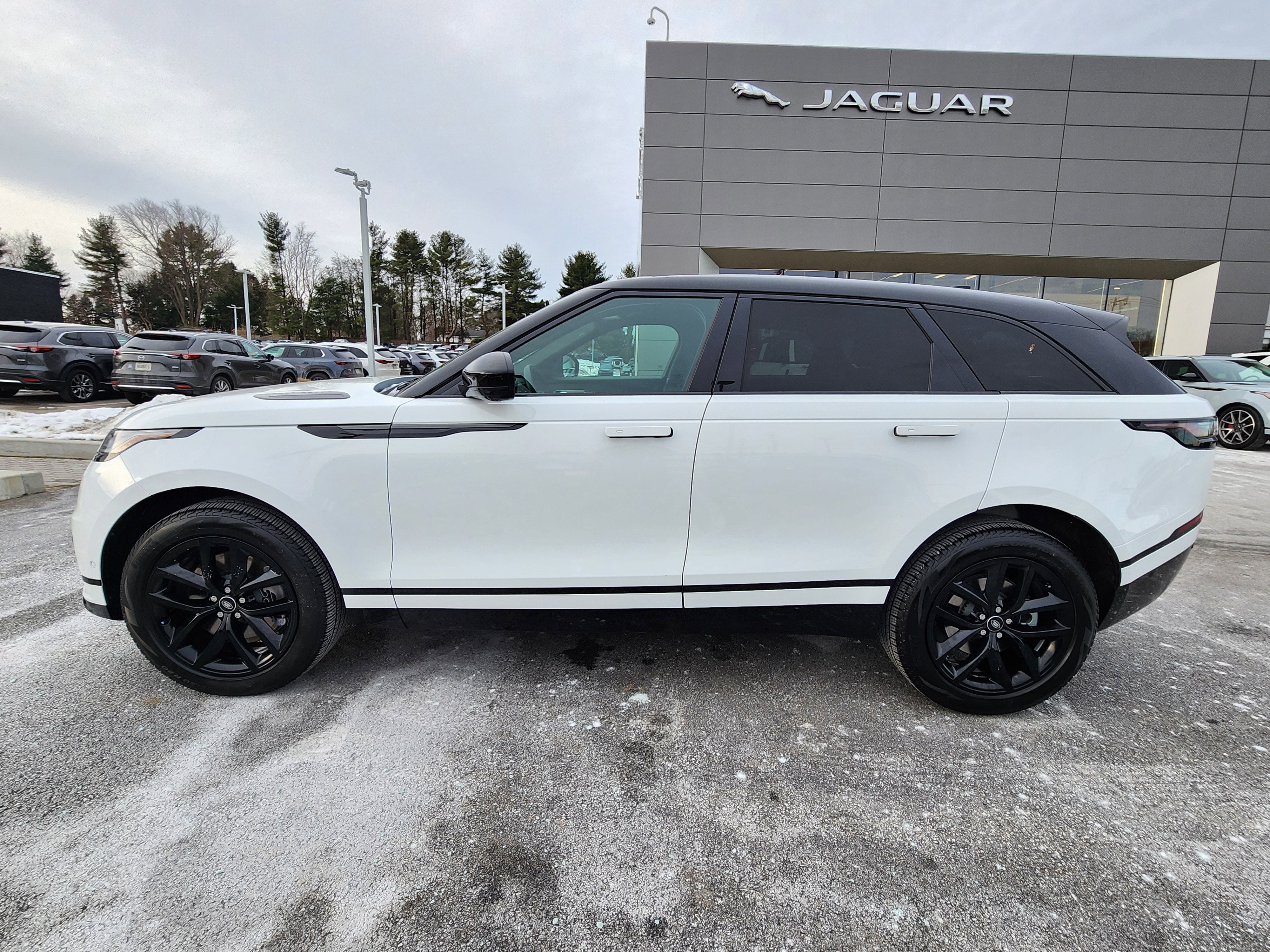 Certified 2026 Land Rover Range Rover Velar Dynamic SE image 5