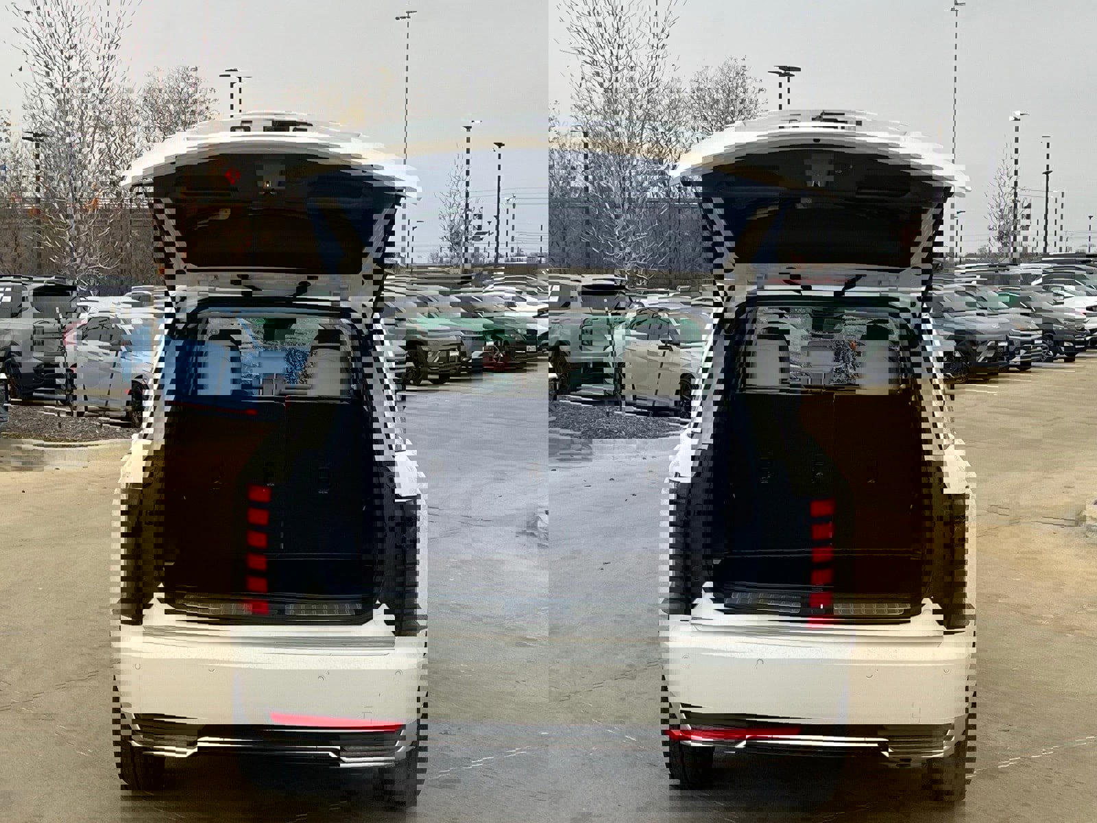 New 2026 Hyundai Palisade Calligraphy image 14