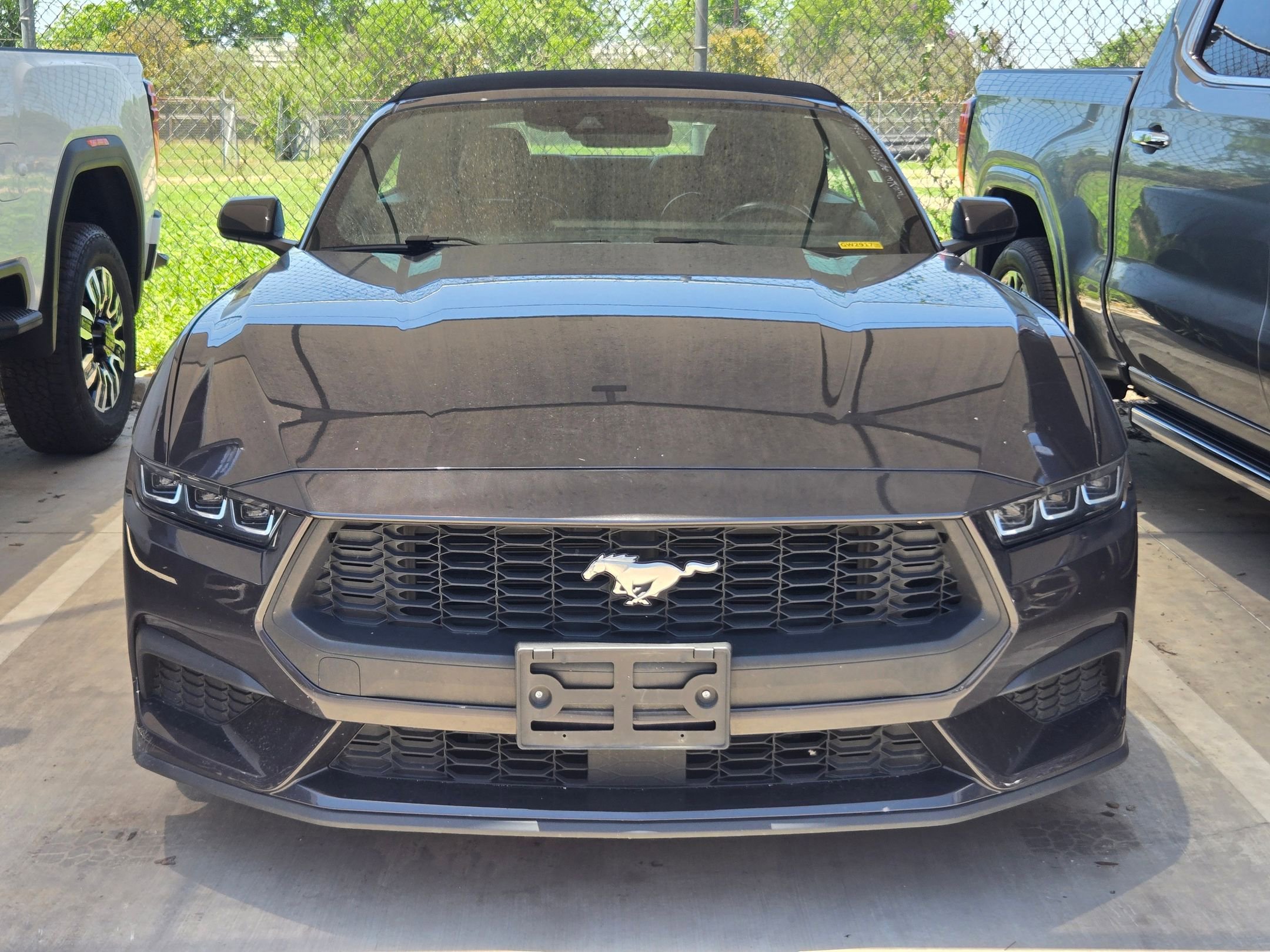 Used 2024 Ford Mustang Premium RWD image 2