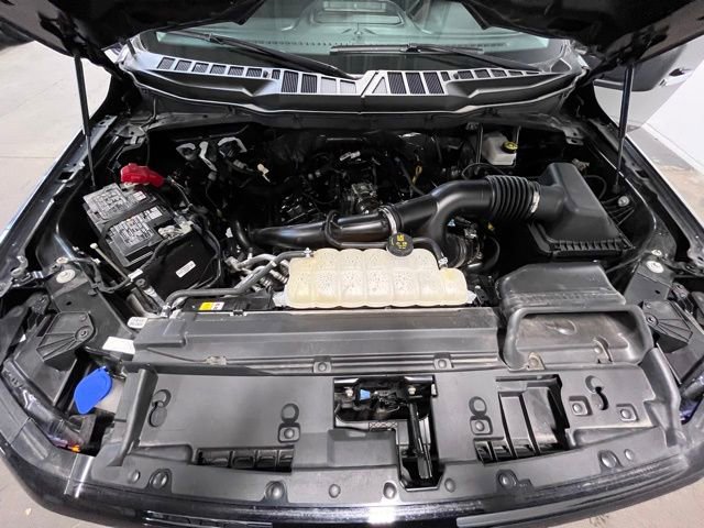 Used 2025 Ford F150 XLT w/ Equipment Group 301A Standard image 25