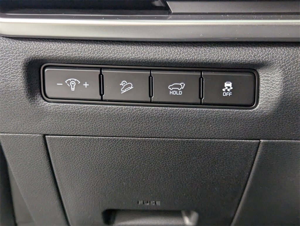 New 2025 Kia Telluride EX image 13