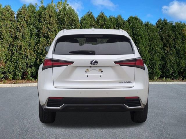 Used 2021 Lexus NX 300h AWD w/ Premium Package image 5