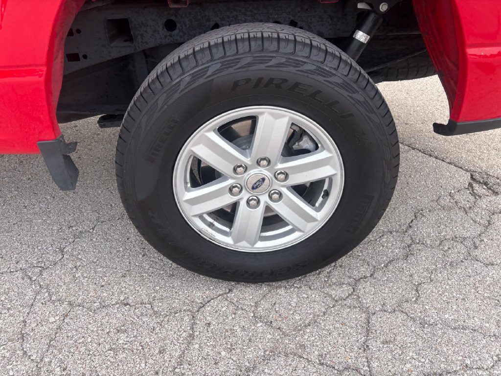 Used 2025 Ford F150 XL w/ Equipment Group 103A High AWD/4WD image 8