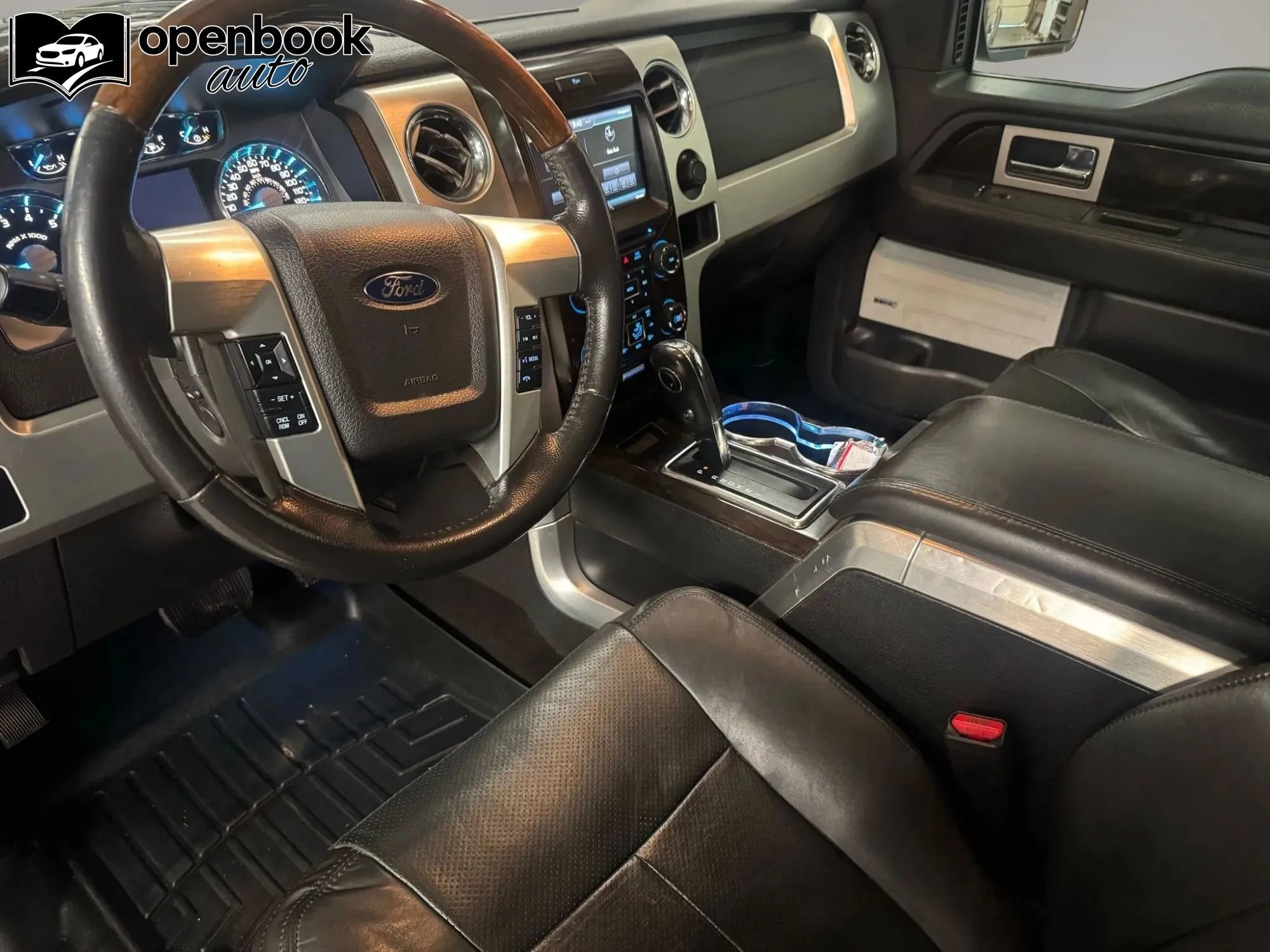 Used 2014 Ford F150 Platinum image 9