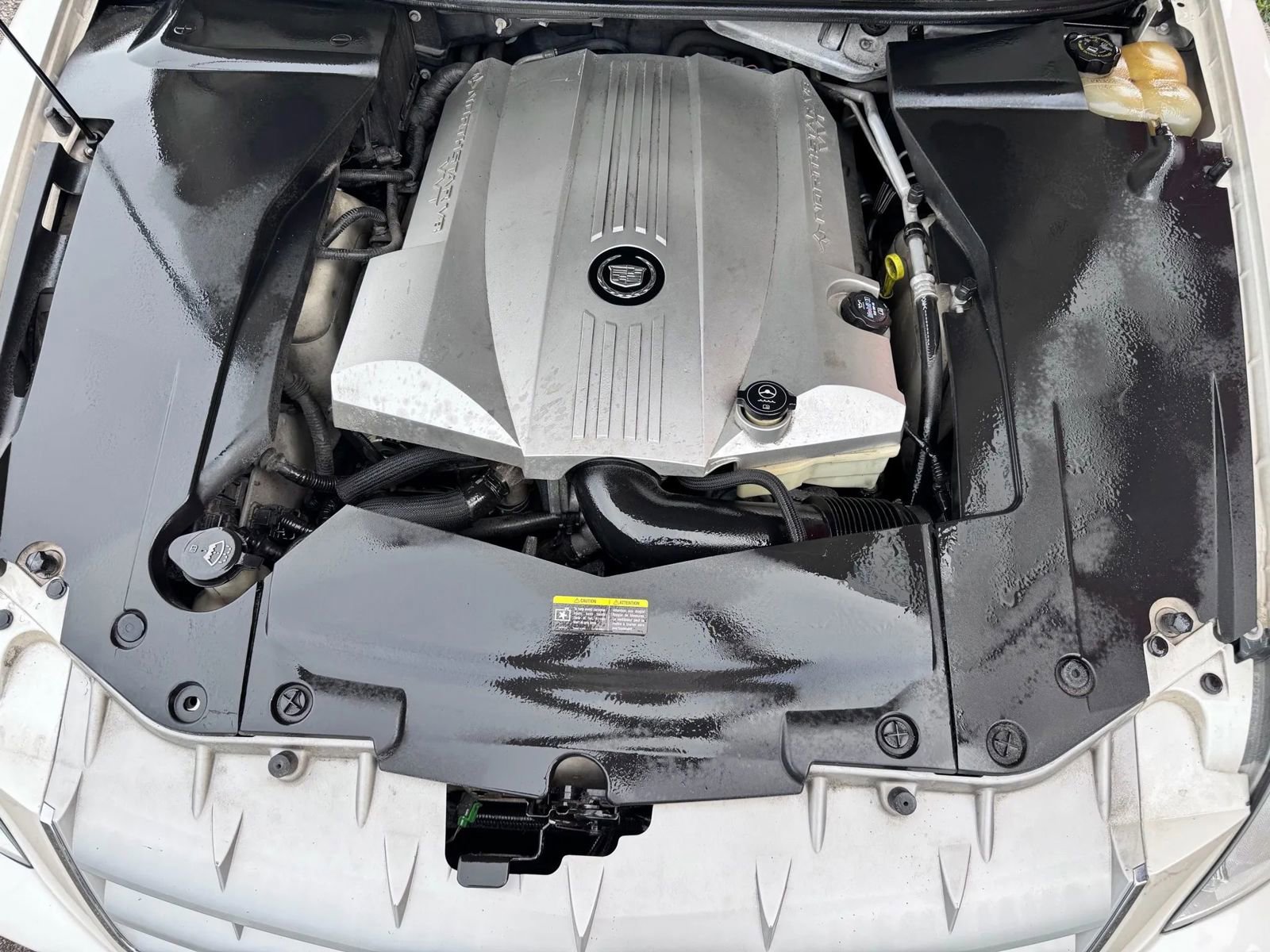 Used 2005 Cadillac STS V8 w/ Preferred Equipment Group image 14