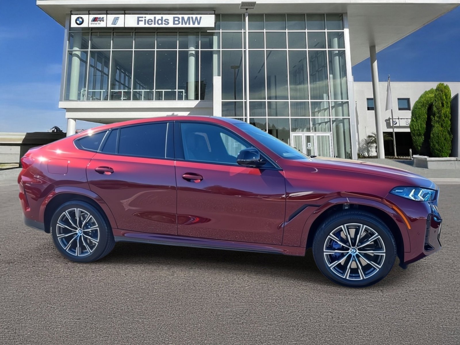 Used 2025 BMW X6 M60i image 1