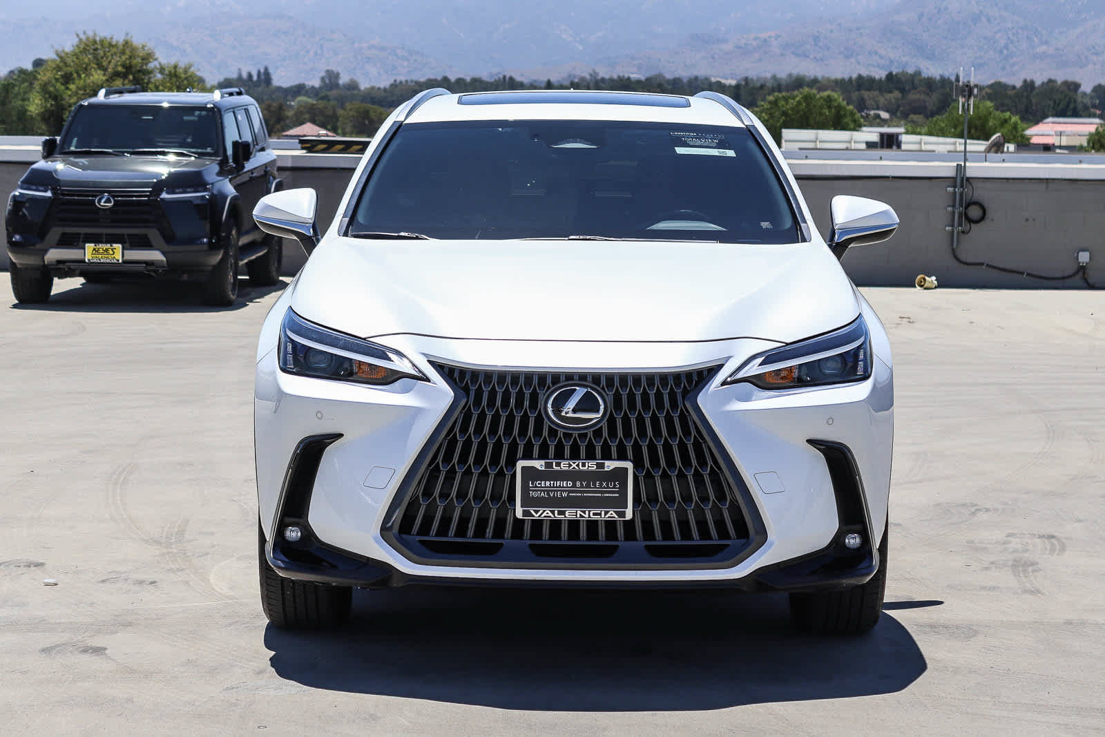 Certified 2025 Lexus NX 350 AWD w/ Premium Package image 6