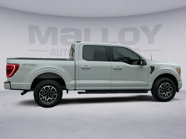 Used 2023 Ford F150 XLT w/ Equipment Group 302A High AWD/4WD image 6