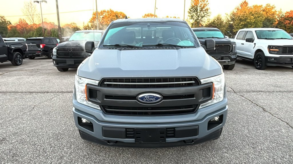 Used 2019 Ford F150 XLT w/ Equipment Group 302A Luxury AWD/4WD image 6