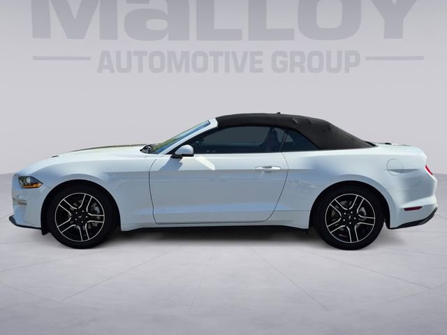 Used 2022 Ford Mustang Premium w/ Equipment Group 201A image 2