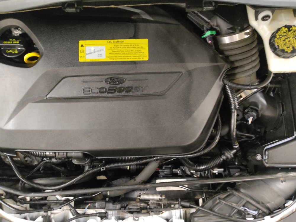 Used 2014 Ford Escape SE w/ Equipment Group 201A image 30