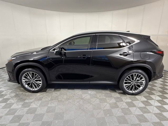 New 2026 Lexus NX 350 AWD w/ Luxury Package image 3