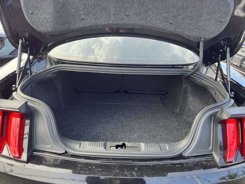 Used 2019 Ford Mustang GT Premium w/ Equipment Group 401A image 10