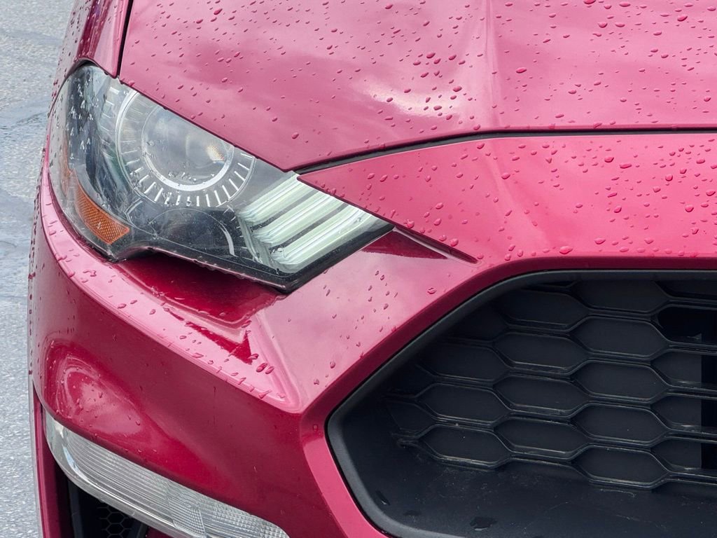 Certified 2021 Ford Mustang EcoBoost w/ Equipment Group 101A image 4