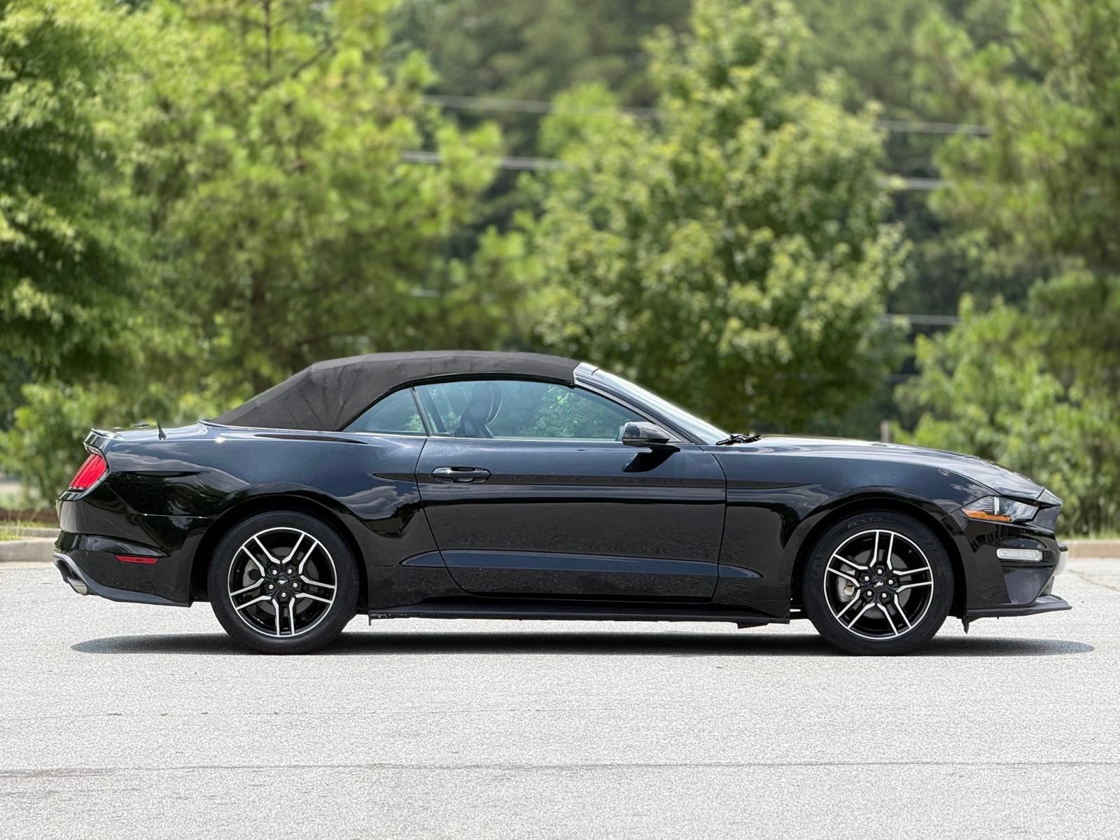 Used 2019 Ford Mustang Premium RWD image 12