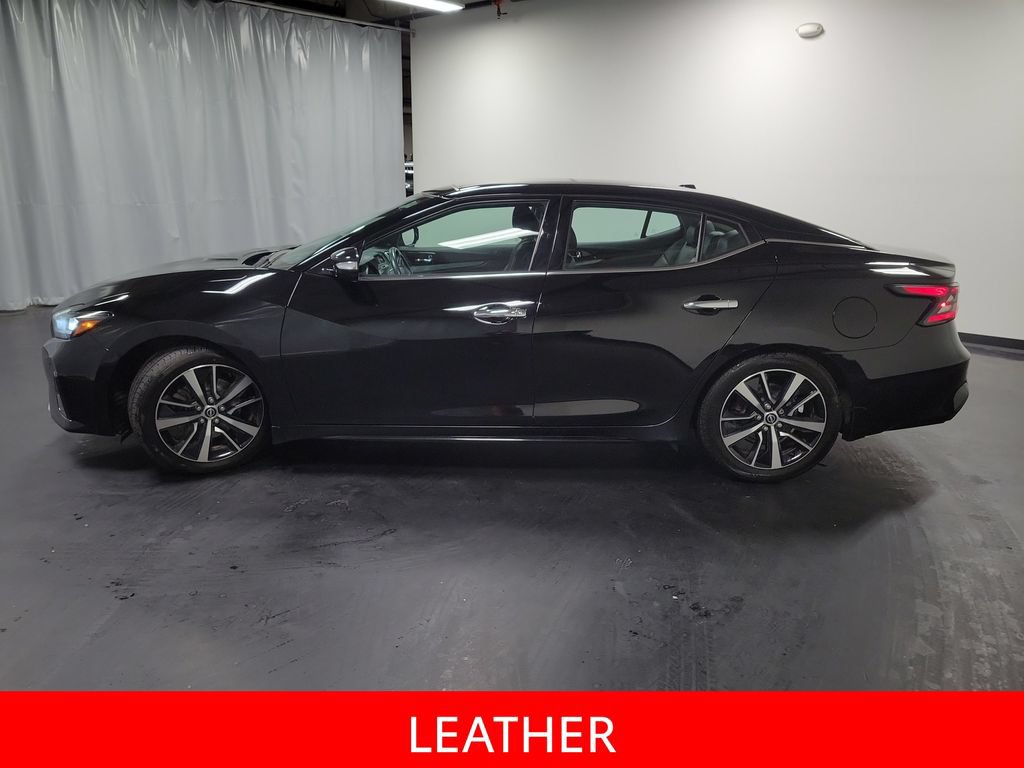 Used 2023 Nissan Maxima SL FWD image 5