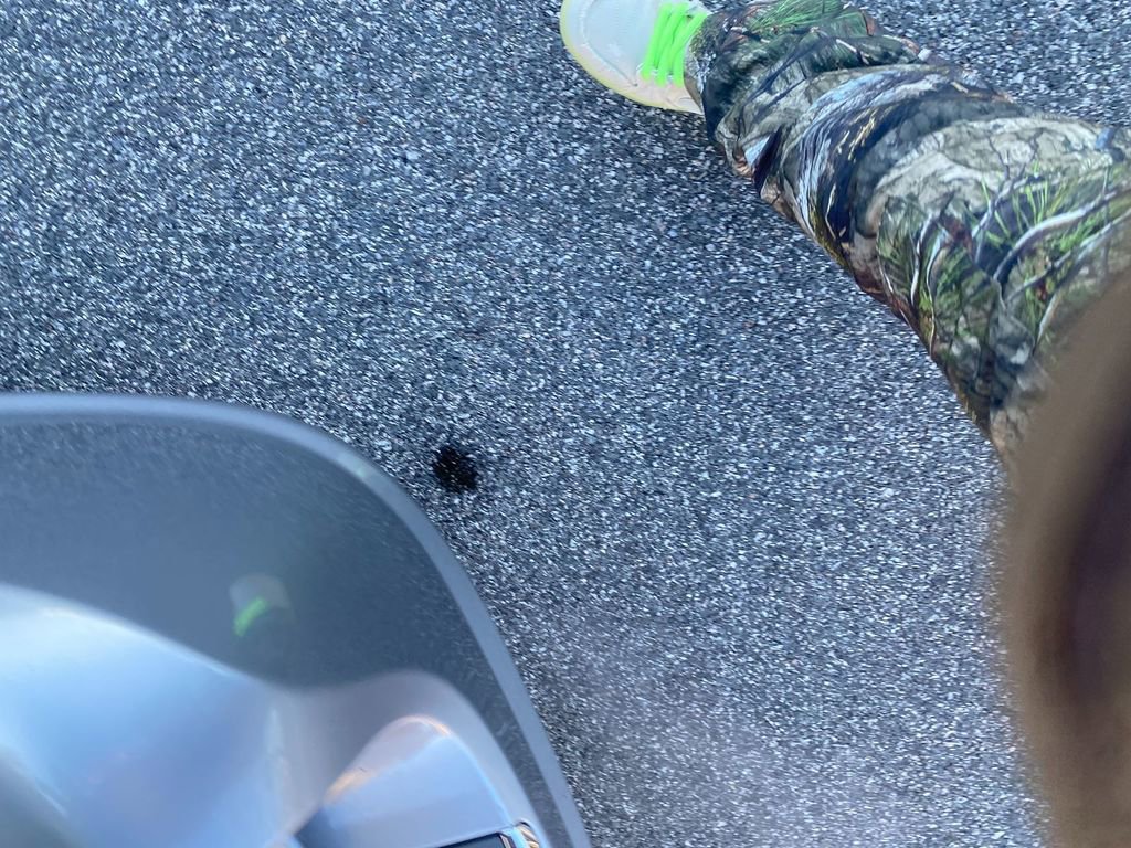 Used 2016 Dodge Grand Caravan SE image 25