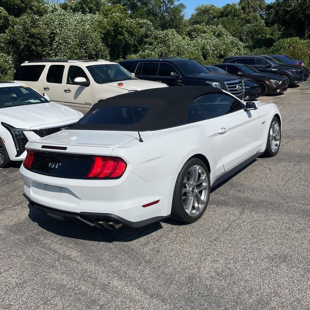 Used 2019 Ford Mustang GT Premium w/ Equipment Group 401A RWD image 3