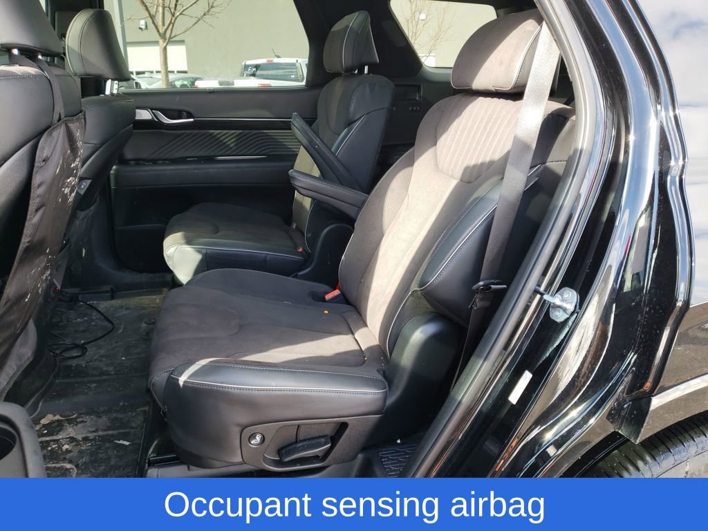 Used 2024 Hyundai Palisade Calligraphy image 30