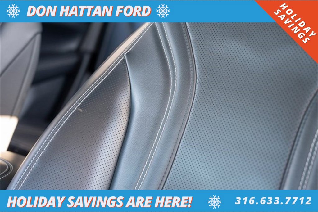 Used 2021 Ford Mustang Mach-E Premium image 22